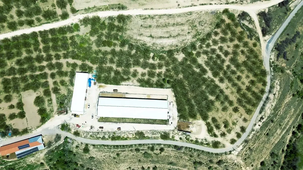 YENİ NESİL ÇİFTÇİLER - Dede mirası çiftçiliği devlet destekleriyle sürdürüyor